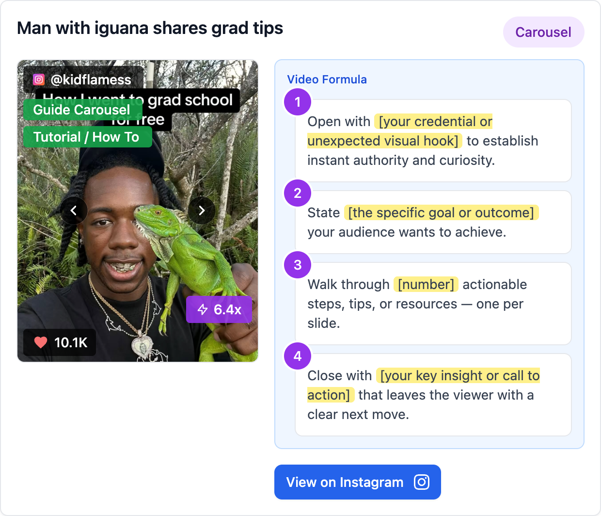 Man with iguana shares grad tips