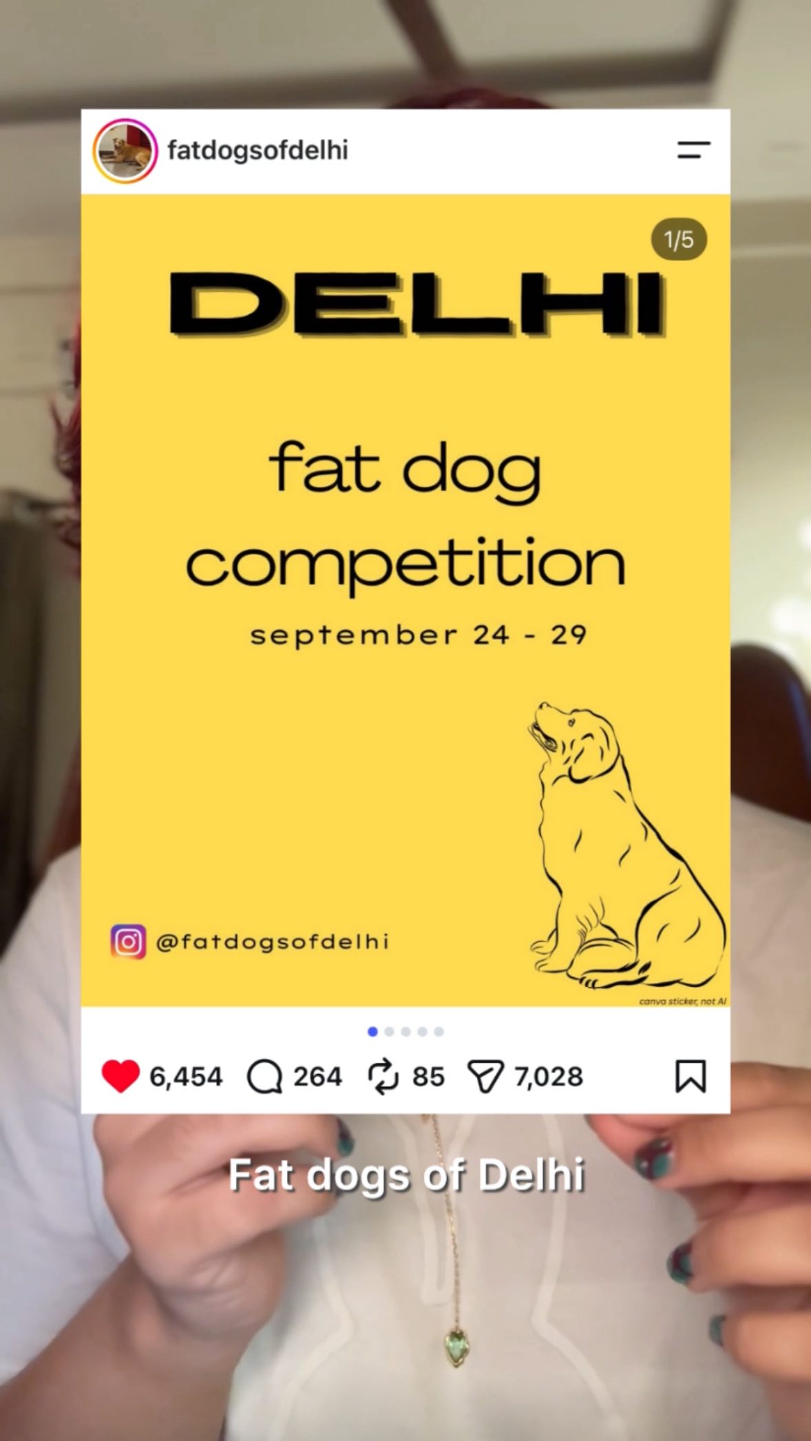 Satirical news report on dog competition